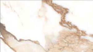 25x50-valeria-Oro 2