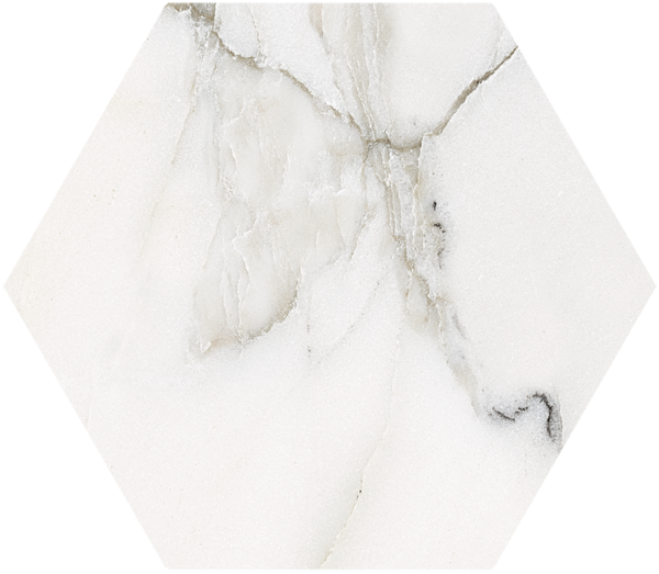 CALACATTA-MAJESTIC-Hex-20X25-29PG