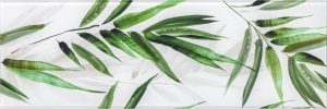 decor glass Tropic B szklo 2 25x75