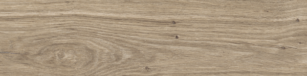 dublin almond 15,5×62 (5)