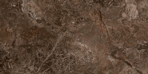 Patara Brown 60x120