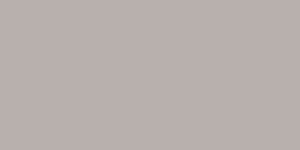 pl_PP-Cielo-e-Terra-Marrone-598x1198