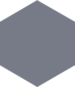 Solid Grey matte 21