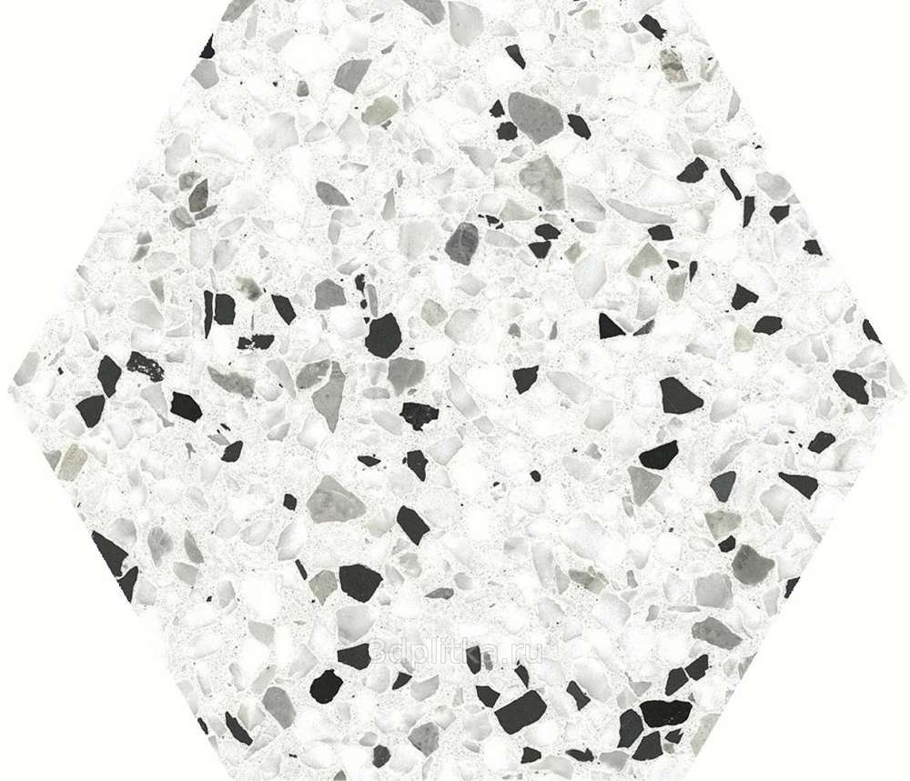 tempo-black-hex-20x24