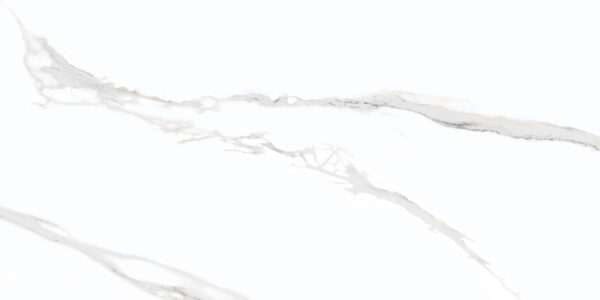 Leez Calcatta Grey_60x120_Face1