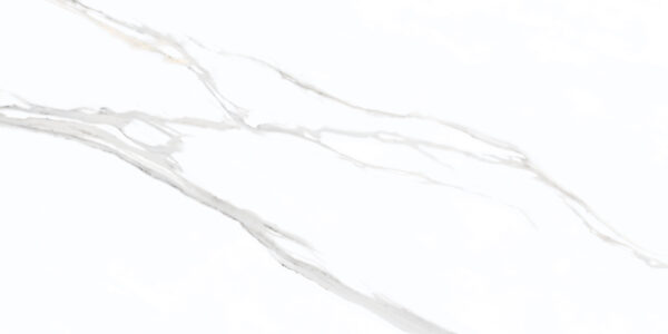 Leez Calcatta Grey_60x120_Face2