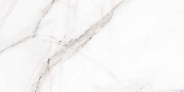 PR17631BI24005_8445583220230_CASPIO_WHITE_BRILLO_30X60_PR_IMD 4