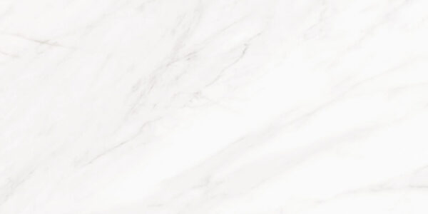 PR17631BI24005_8445583220230_CASPIO_WHITE_BRILLO_30X60_PR_IMD