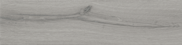 dublin soft grey 15,5×62 (3)