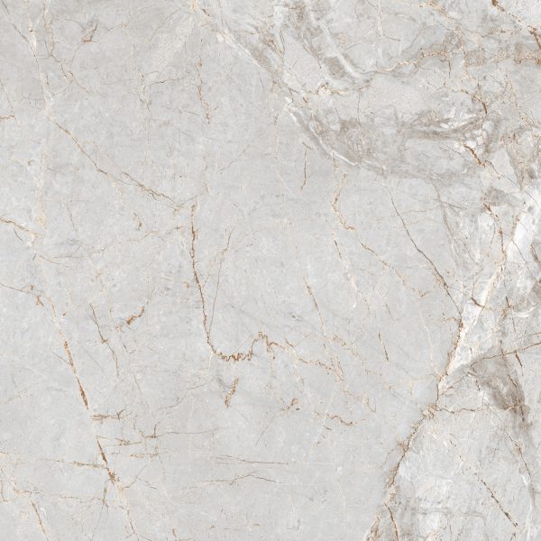 ALEXA SILVER_(AP_GL4209_4)_60X60_R5