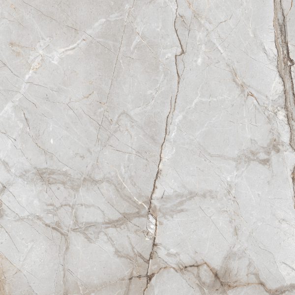 ALEXA SILVER_(AP_GL4209_4)_60X60_R8