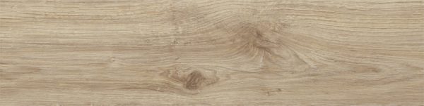 10_quercus_piaskowy-1508415368