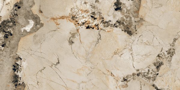 PATAGONIA CAMEL_(AP_Y7120)_R1