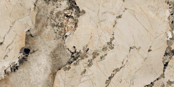 PATAGONIA CAMEL_(AP_Y7120)_R3