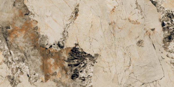 PATAGONIA CAMEL_(AP_Y7120)_R5