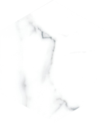 Гранитогрес Swan White 21.5x25