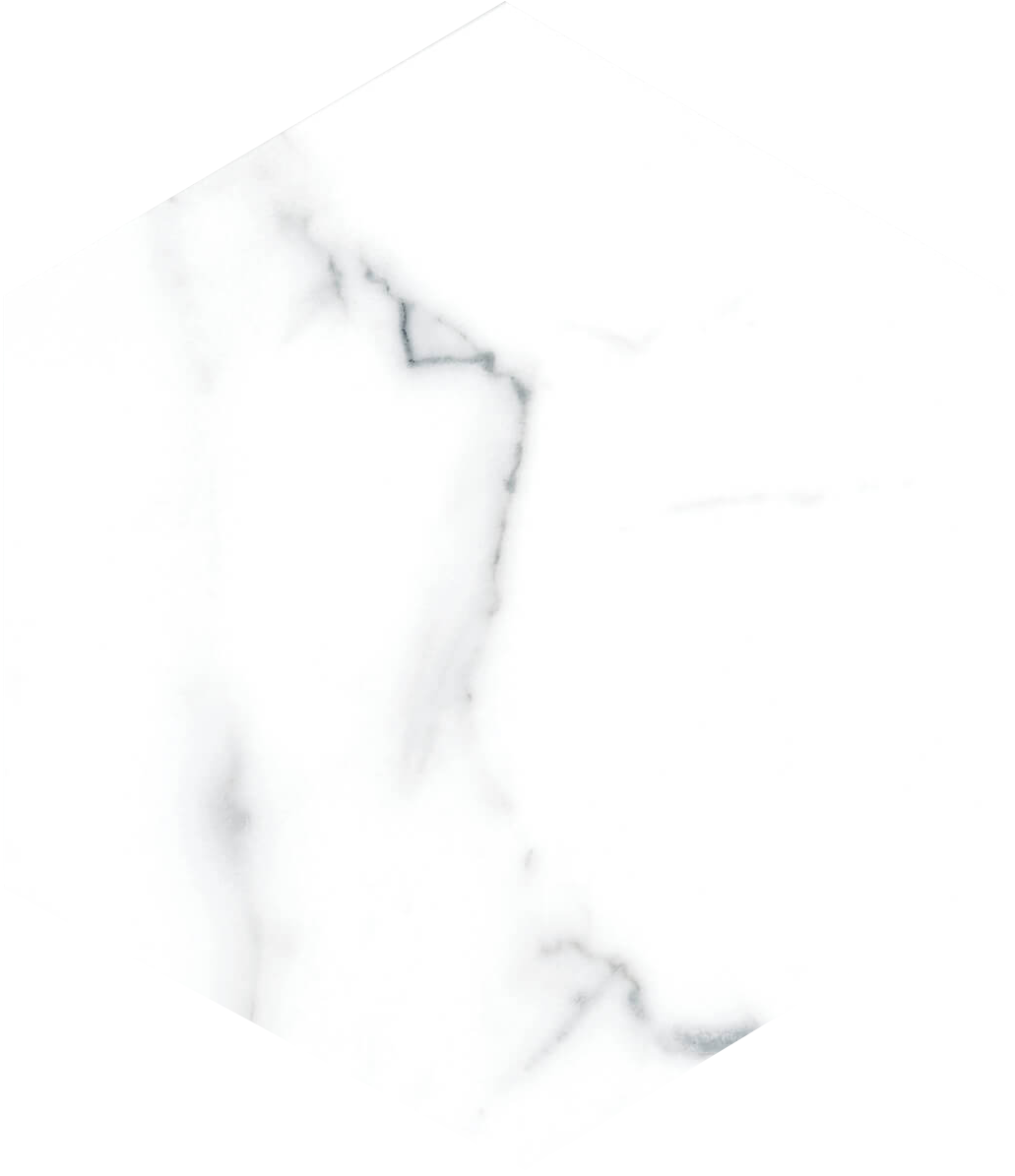 1-4.png Гранитогрес Swan White 21.5x25 - Image 1