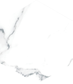 Гранитогрес Swan White 21.5x25 - Image 2