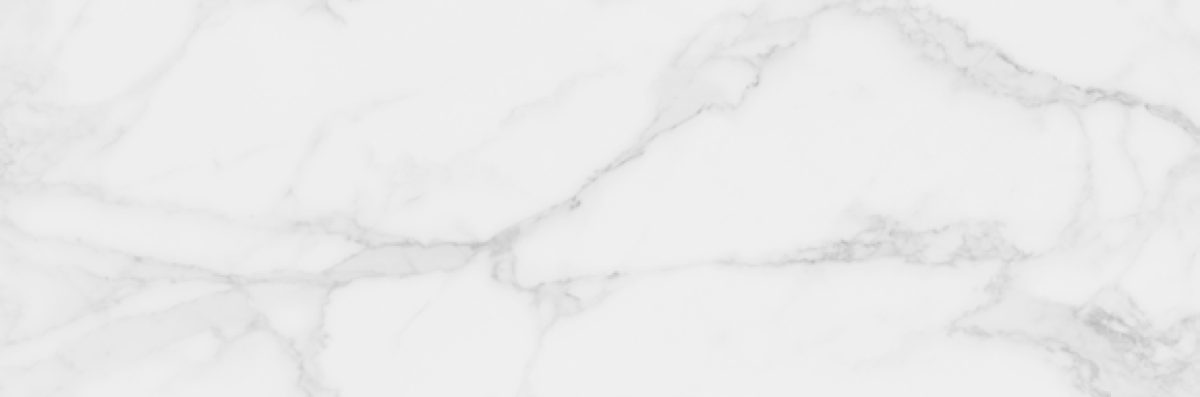 ascot-grey-25x75-1-glossy.jpg Фаянс Ascot Grey 25x75 - Image 1