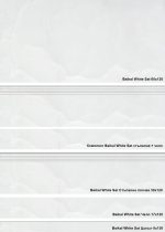 Baikal KTL гранитогреси - Image 3