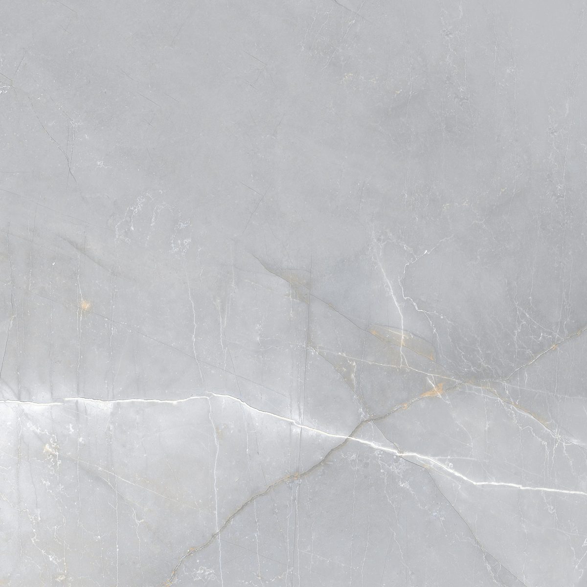 Гранитогрес Boston Silver Pol 60x60 - Image 5