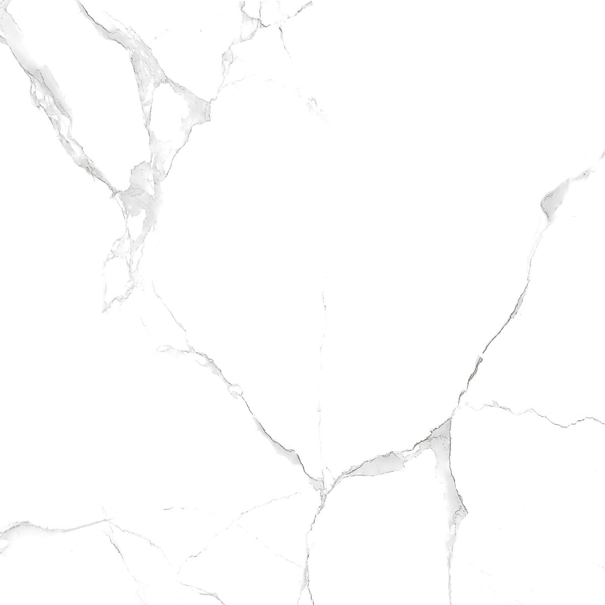 Гранитогрес CPGC 50 60x60 - Image 2