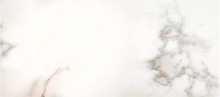 gala1-59x120-2.jpg Гранитогрес Gala Mate 59x120 - Image 1