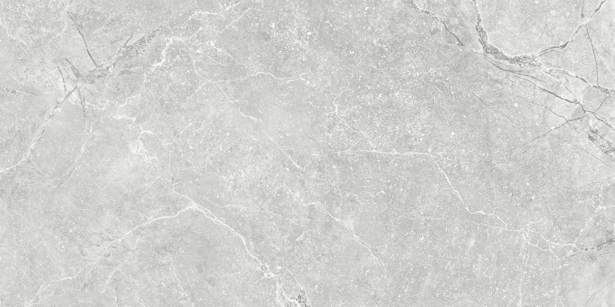 Гранитогрес Gobi Grey STR 59.8x119.8 - Image 1