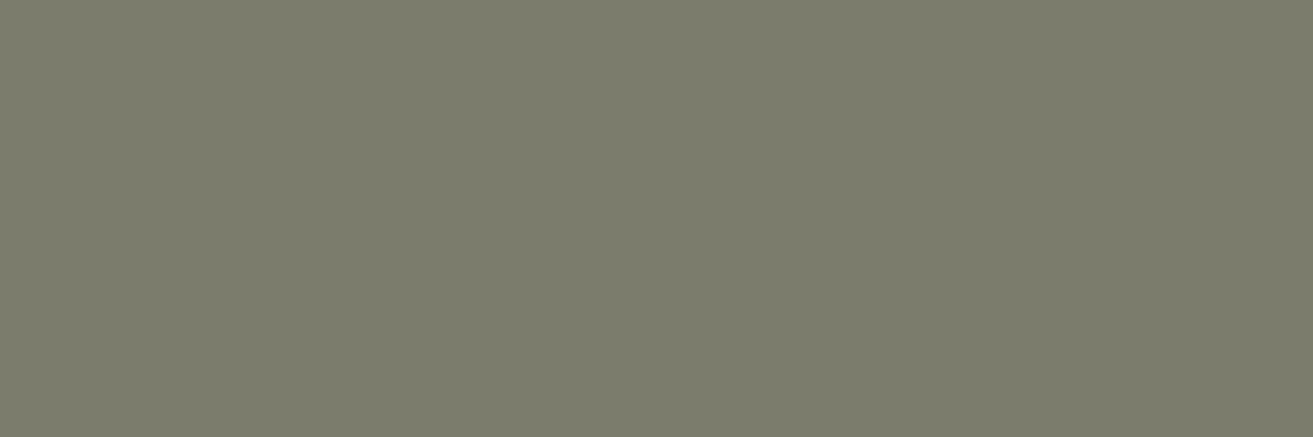 Фаянс Khaki 30x90 CCR115 - Image 1