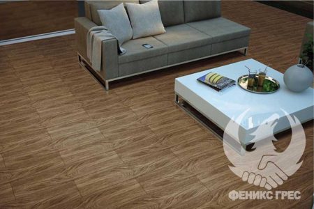 Massimo 15.5x62 гранитогрес