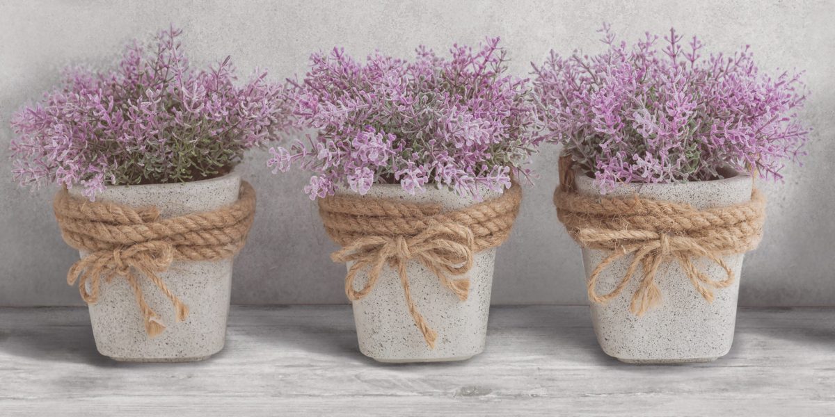 Фаянс Max Decor 30x60 - Image 1