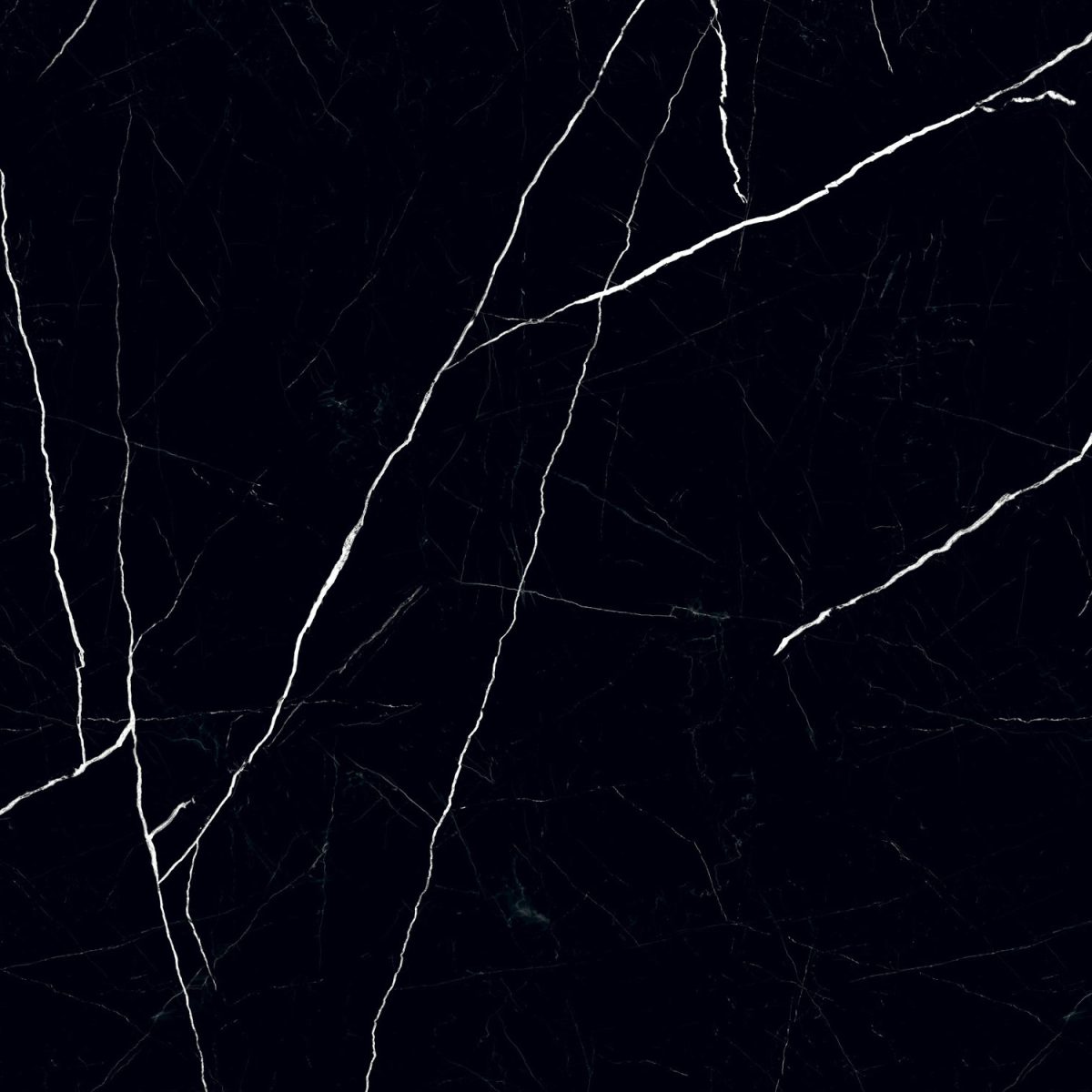 Гранитогрес Black Pulpis POL 119.8x119.8 - Image 4