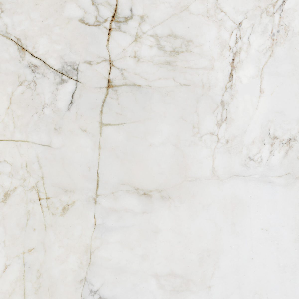 Гранитогрес Shellstone White Pol 119.8 x119.8 - Image 1