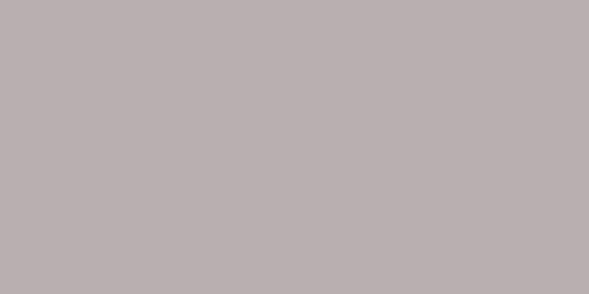 Фаянс Colour Marrone Mat 29.8x59.8 - Image 1