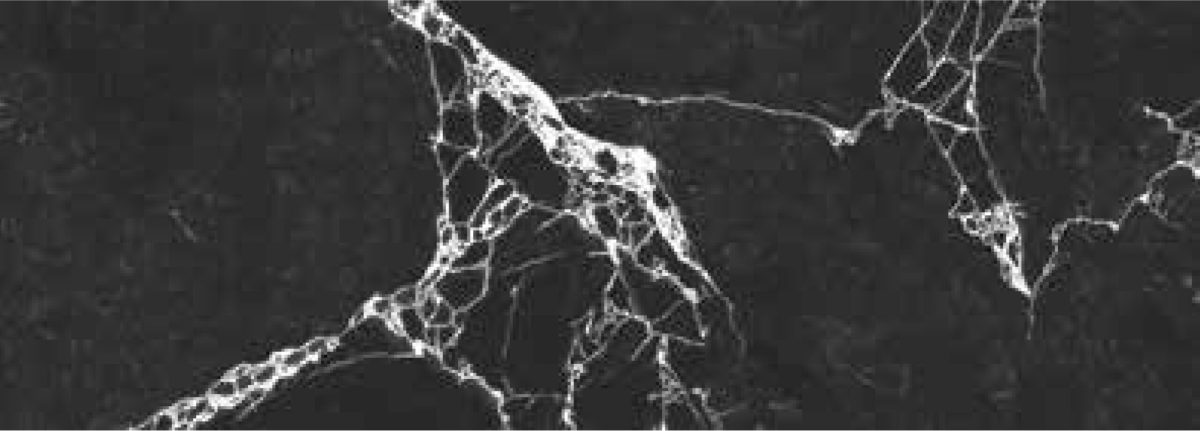 Фаянс Vira Black 30x90 - Image 1