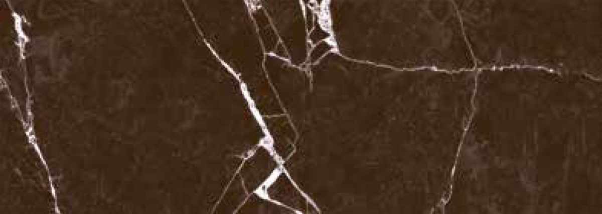 Фаянс Vira Brown 30x90 - Image 1